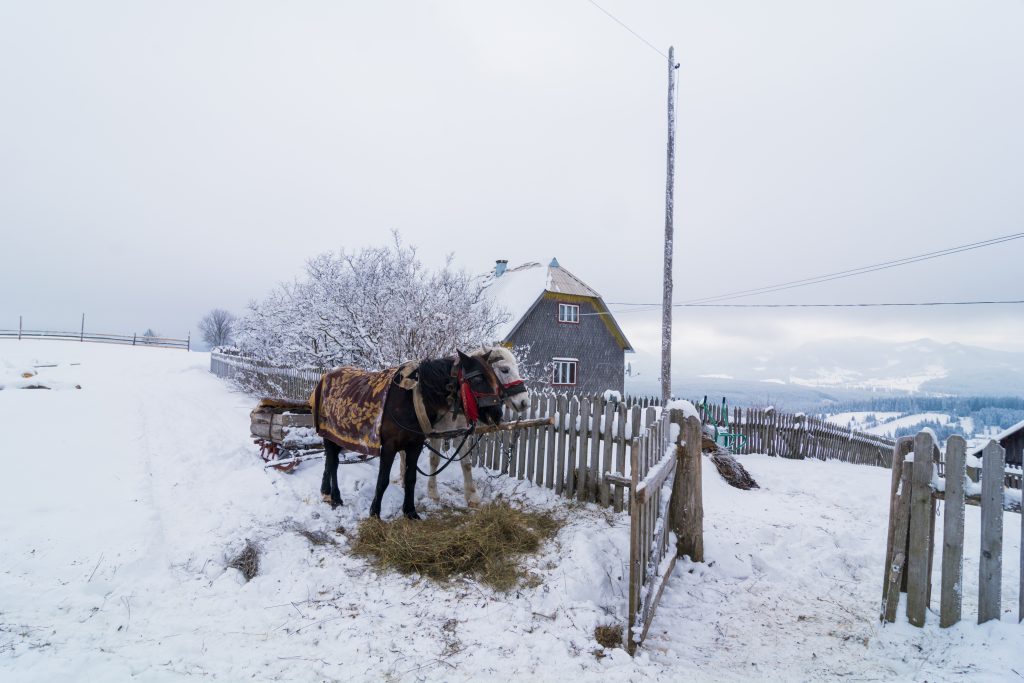 Iarna în Țara Dornelor