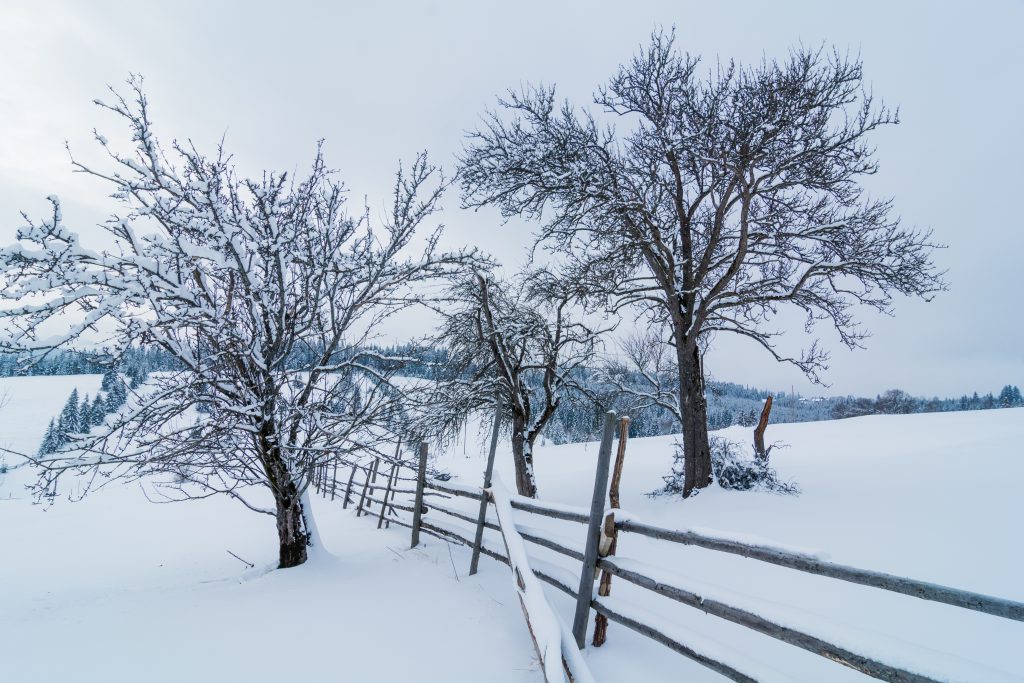 Iarna în Țara Dornelor